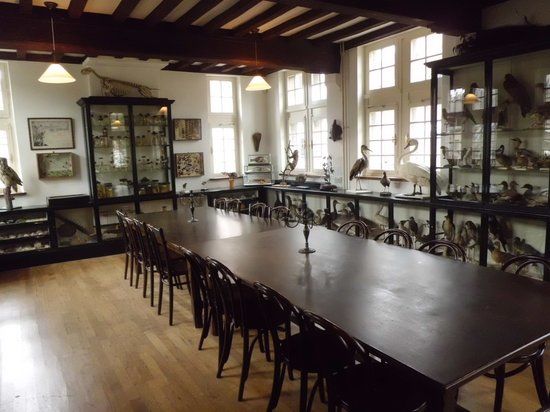 Natuurhistorisch Museum Maastricht